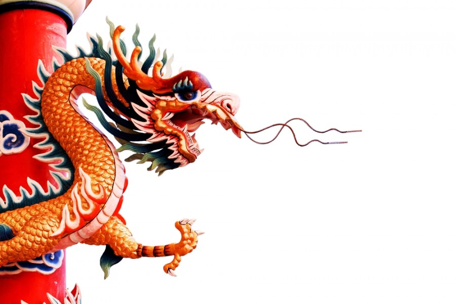 Tarot : quelle est la signification du signe chinois serpent ?